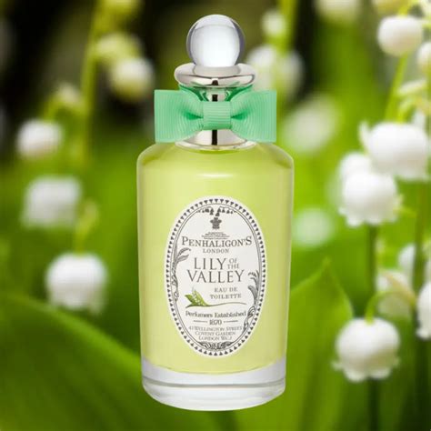 hermes lily of the valley